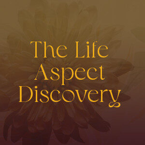 The Life Aspect Discovery (Journal Sampler)